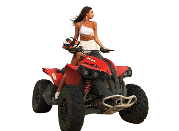 qick bick desert safari